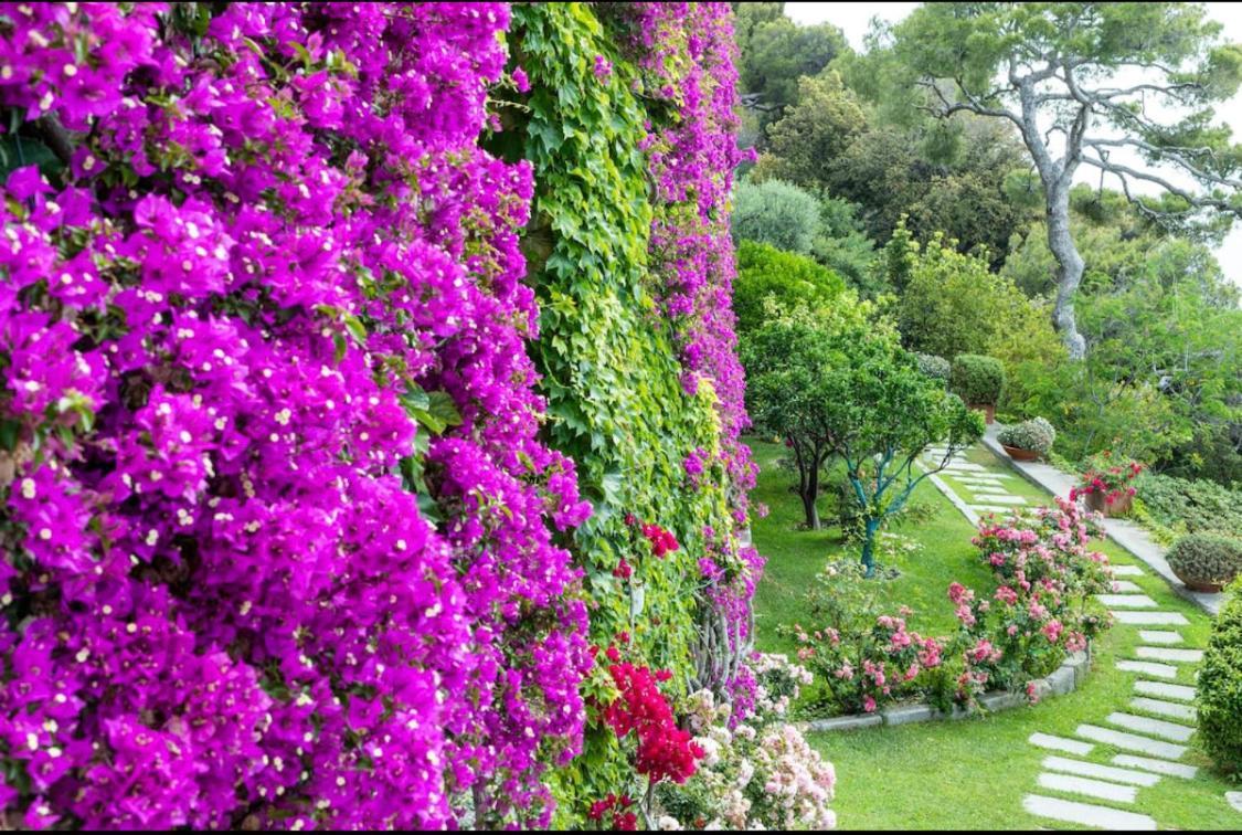 Sea View Suite Apartment In Historic Villa, Exclusive Experience Imperia Dış mekan fotoğraf